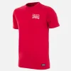 Dänemark 1992 European Champions embroidery T-Shirt