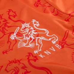 Holland World Cup 1994 Retro Fußballtrikot