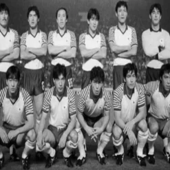 Japan 1987 - 88 Retro Fußball Trikot