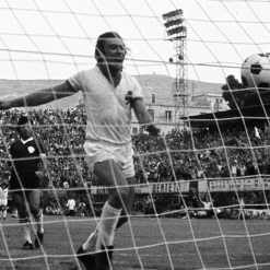 Panathinaikos FC 1974 - 75 Retro Fußballtrikot