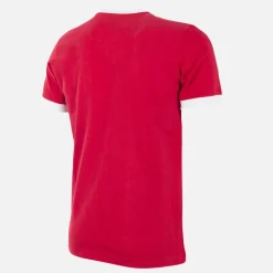 SL Benfica 1974 - 75 Retro Fußball Trikot